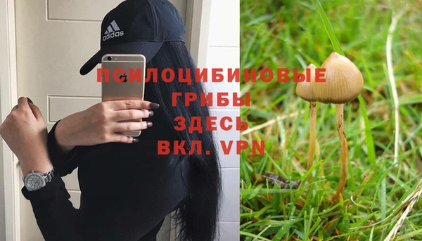 дмт Абдулино