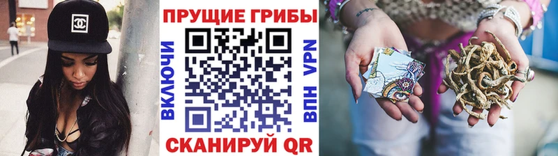 Галлюциногенные грибы прущие грибы мориарти официальный сайт Каменка цена наркотик