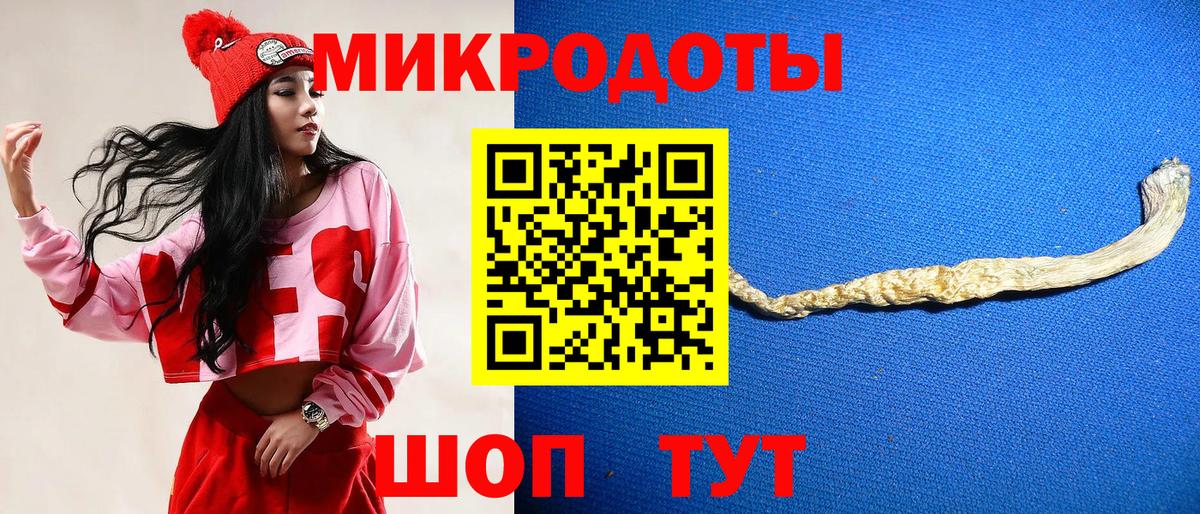 Псилоцибиновые грибы мицелий Каменка