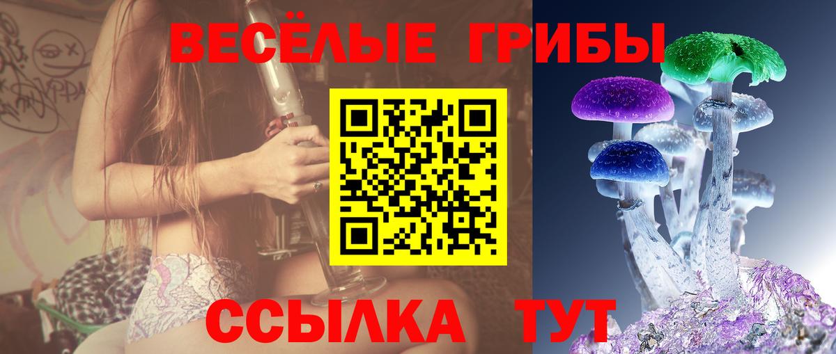 Псилоцибиновые грибы Psilocybe  Псилоцибиновые грибы Psilocybine cubensis  Вход с VPN  Каменка 